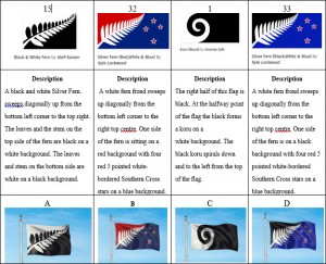 Final Four NZ Flag Designs-Which would you choose?